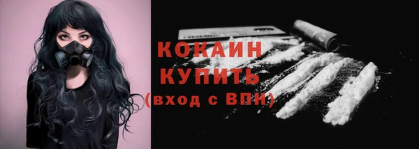 кокс Алексин
