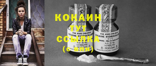 кокс Алексин