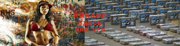 кокс Алексин
