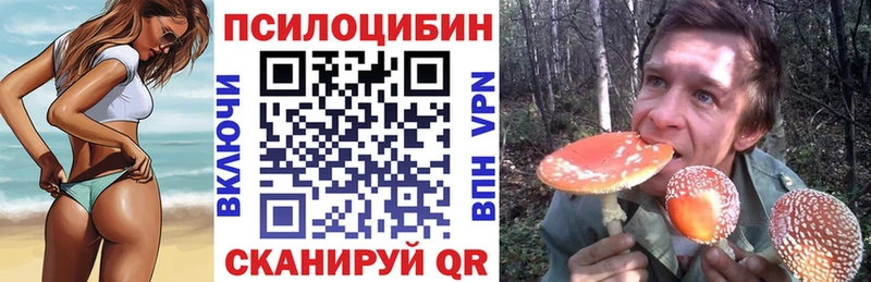 OMG tor  Юхнов  Галлюциногенные грибы мицелий  закладки 
